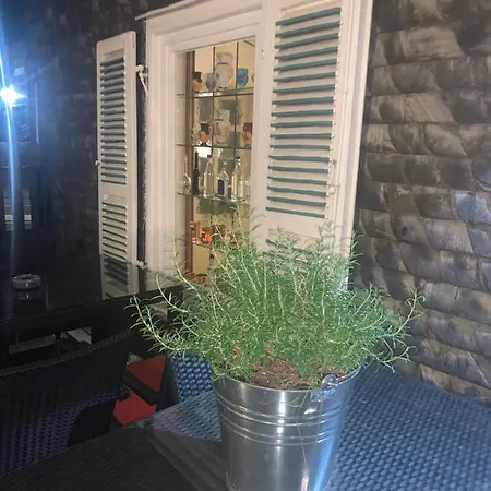 弗里德里希酒店 3* 哈亨堡