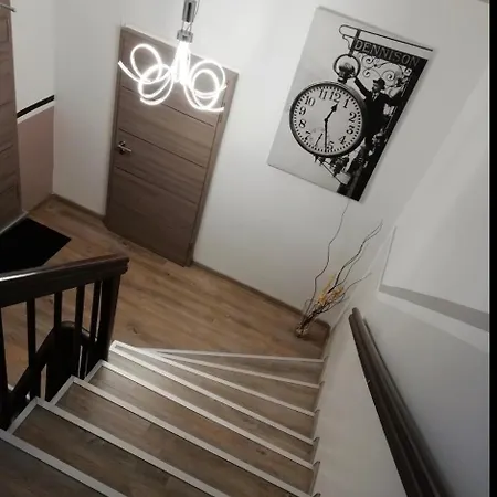 弗里德里希酒店 酒店 哈亨堡