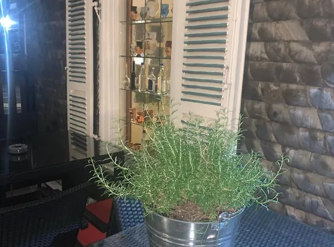 Friedrich 3* הכנבורג