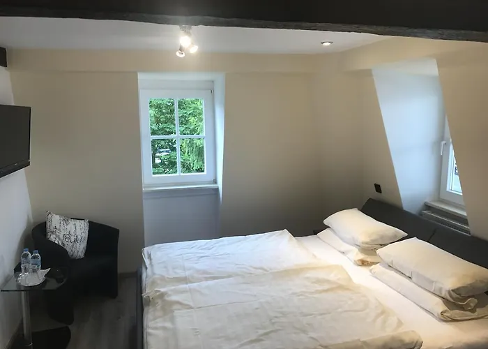 Friedrich מלון הכנבורג